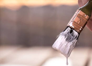 DIY or Hire a Pro? Expert Fence Painting Tips to Help You Decide